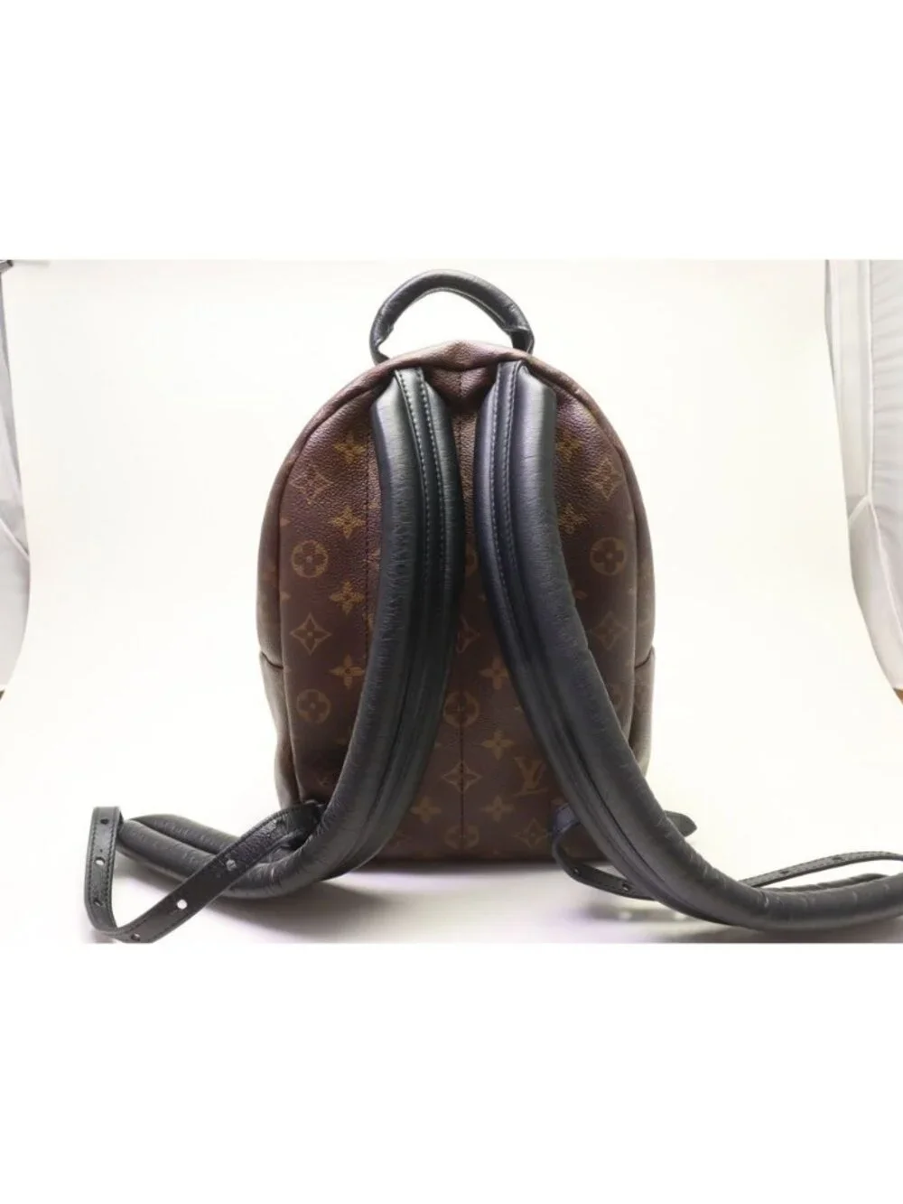 Louis Vuitton Palm Springs PM Monogram Reverse Backpack